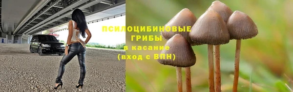 гидропоника Аркадак