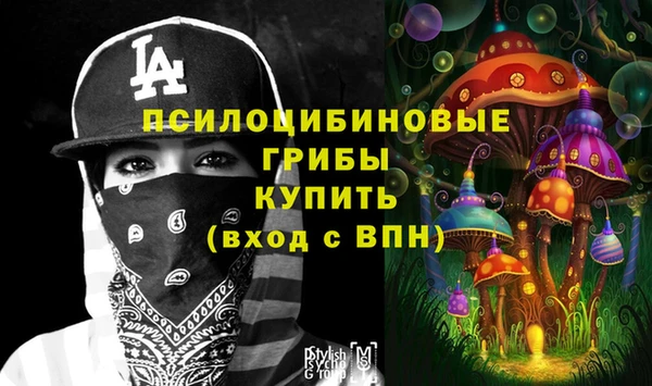 гидропоника Аркадак