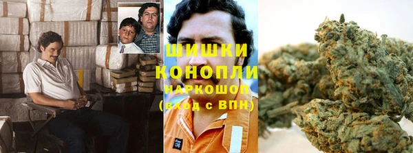 гидропоника Аркадак