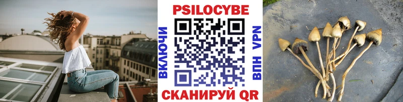 ссылка на мегу зеркало  хочу наркоту  Рыбное  Галлюциногенные грибы Psilocybine cubensis 